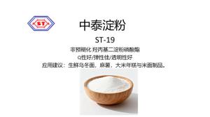 ST-19 非預糊化 羥丙基二淀粉磷酸酯